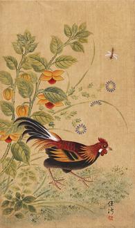 정선 (등롱웅계)