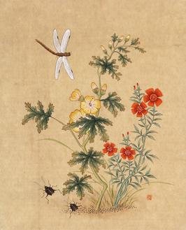 신사임당 (초충도_물봉선화와 쇠똥벌레)