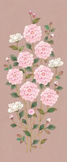 긴꽃가지 가을 핑크