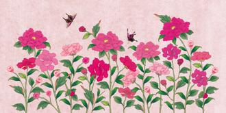 화초밭 초여름 분홍