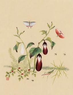 신사임당 (초충도_가지와 방아개비)