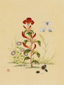 신사임당 (초충도_맨드라미와 쇠똥벌레)