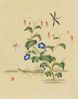 신사임당 (초충도_산차조기와 사마귀 검정잠자리)