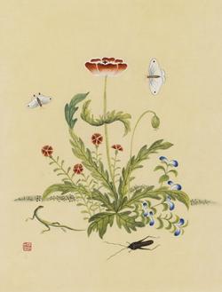 신사임당 (초충도_양귀비와 도마뱀)