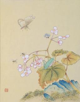 신사임당 (화조도 12폭 큰나비와 메뚜기)