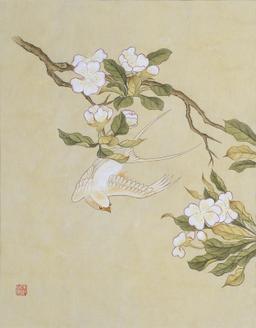 신사임당 (화조도 12폭 흰제비와 배꽃)