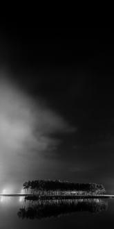 나에게 다가온 소나무 시즌5.5 