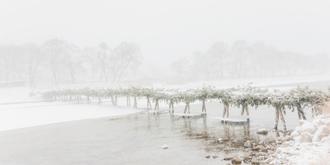 나에게 다가온 소나무 시즌5.5 (12)