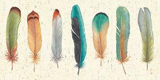 Feather Tales VII (스타트업 협찬그림)