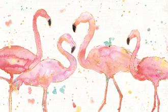 Flamingo Fever I