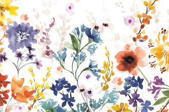 Colors of the Garden