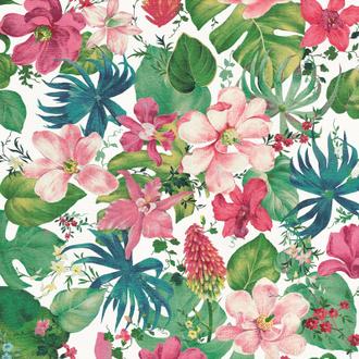 Tropical Dream Bright on White (스타트업 협찬그림)