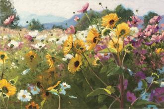 Cosmos and Sunflowers