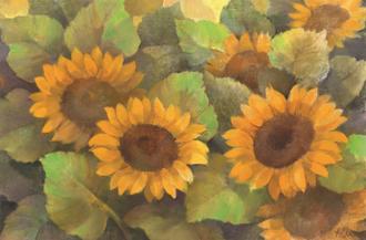 Lots of Sunflowers