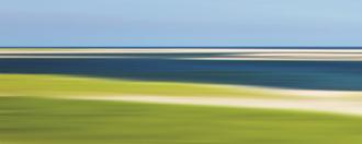 Cape Cod Low Tide