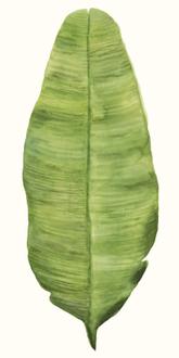 Tropical Breeze Leaves IV