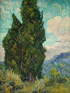 Cypresses I