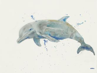 Dolphin