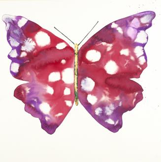 Blue Butterfly Red Butterfly