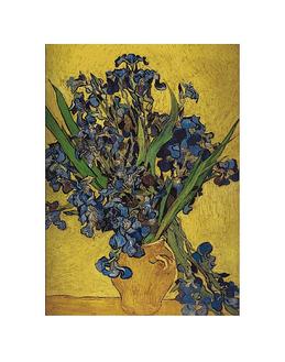 Irises in Vase
