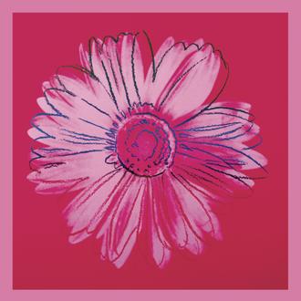 Daisy, C. 1982 (Crimson And Pink)