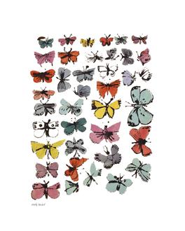 Butterflies, 1955 (Many/Varied Colors)