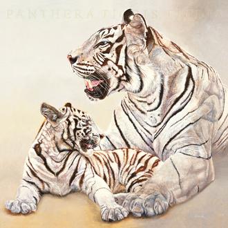 Tigres blancs, mere et fille