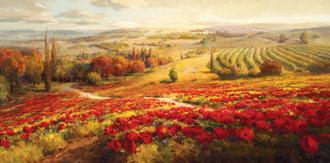 Red Poppy Panorama-Ovs