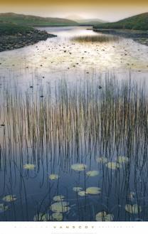 You Forgot to Leave Me