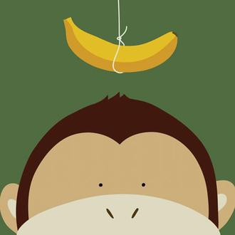 Peek-a-Boo Monkey