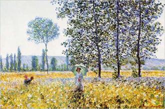 Sunlight Effect under the Poplars