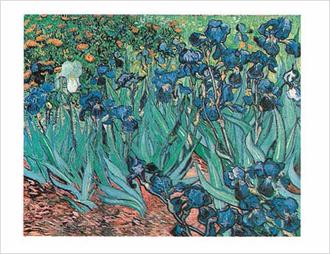 Irises In The Garden