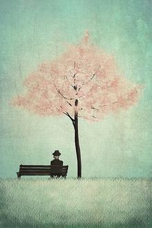 The Cherry Tree-Spring