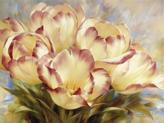 Champagne Red Tulips