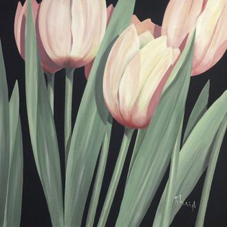 Tulips Harmony II