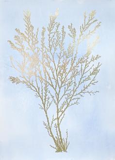 Gold Foil Algae I on Blue