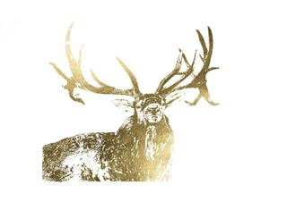 Gold Foil Elk