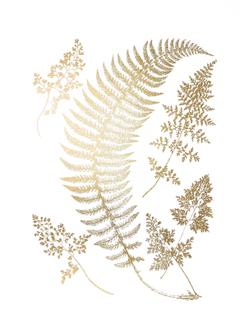 Gold Foil Ferns IV