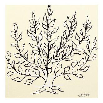 The Bush (Le Buisson)