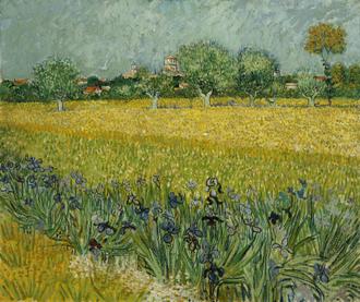 View Of Arles With Irises