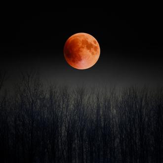 Blood Moon