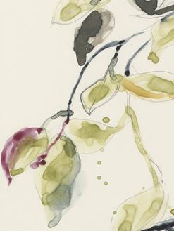 Leaf Branch Triptych I