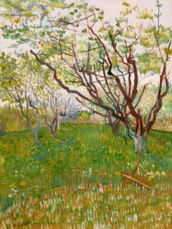 The Flowering Orchard