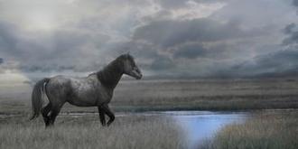 Once Upon A Time In The West