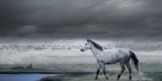 Once Upon A Time In The West No. 2