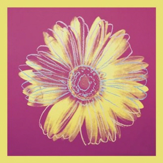 Daisy, C.1982 (Fuchsia & Yellow)