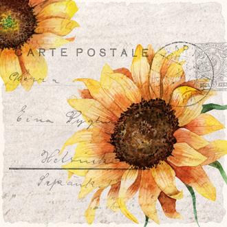 Sunflower Postcard II