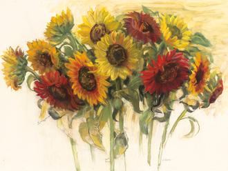 Gathering Sunflowers