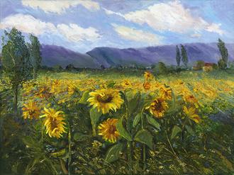 Sierra Awakenings III