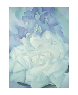 White Rose with Larkspur No. 2, 1927